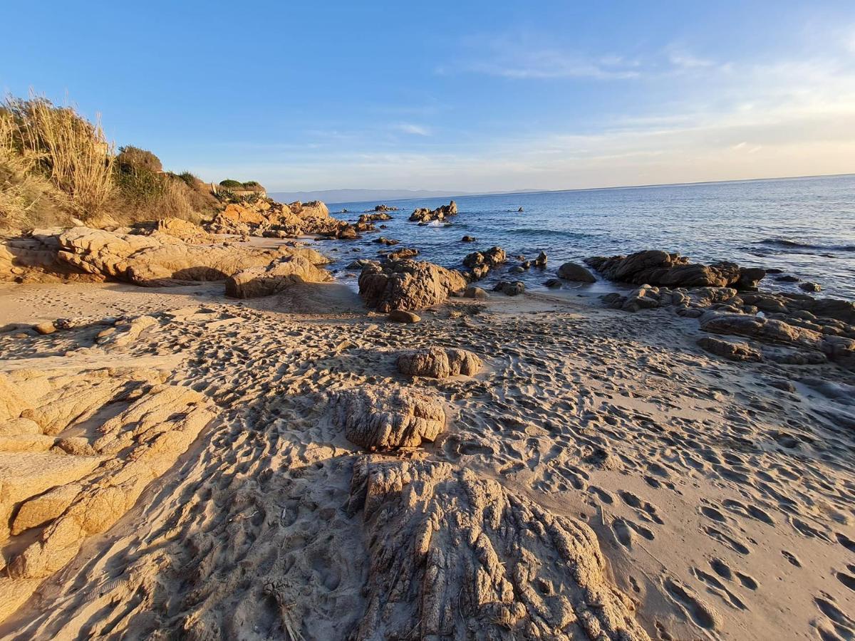 Cosyseaside Corsica Ajaccio Piscine Terrasse Mer Eksteriør billede